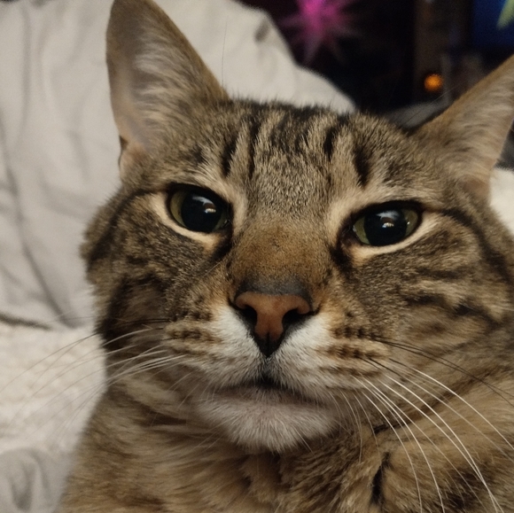 Meet your Posher, Jennifer - Picture 9 of 15